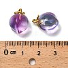 Glass Pendants GLAA-P072-05G-01-3