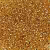 TOHO Round Seed Beads X-SEED-TR08-0753-2