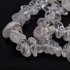 Natural Quartz Crystal Beads Strands G-G011-03-2