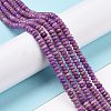 Natural Lepidolite/Purple Mica Stone Beads Strands G-H278-03A-2