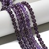 Natural Gemstone Beads Strands G-S035-9