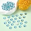 Preciosa® MAXIMA Crystal No Hotfix Flatback Stones Y-PRC-NSS16-60010-2