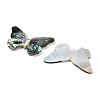Natural Freshwater Shell & Black Lip Shell & Paua Shell & Natural White Shell Pendants BSHE-G034-08-2