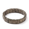 Natural Pyrite Stretch Bracelets BJEW-F406-B12-2