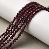 Natural Garnet Beads Strands X-G-I341-09B-01-1