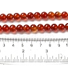 Natural Carnelian Beads Strands G-G390-8mm-03-3