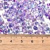 Transparent Baking Paint Glass Seed Beads SEED-P006-02B-10-4