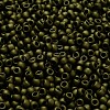 TOHO 6/0 Round Beads SEED-TR06-0617-4