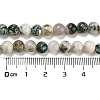 Natural Tree Agate Round Gemstone Beads Strands X-G-R255-6mm-3