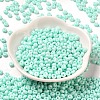 Baking Paint Glass Seed Beads SEED-B001-02A-14-2