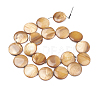 Natural Freshwater Shell Beads BSHE-I011-01A-01-2