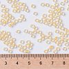 MIYUKI Round Rocailles Beads X-SEED-G008-RR0202-4