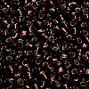 TOHO 6/0 Round Beads SEED-TR06-0026C-4