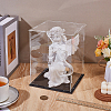 Acrylic Display Boxes CON-WH0089-163A-4