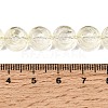 Baking Paint Transparent Glass Beads Strands GL-CBA2ED2-04J-4