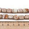 Natural Aqua Terra Jasper Beads Strands G-B155-D15-5
