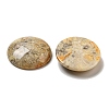 Natural Crazy Agate Cabochons G-C115-02B-23-2