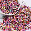 Baking Paint Glass Seed Beads X-SEED-S042-05B-48-1