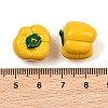 Opaque Resin Imitation Vegetable Beads RE-CBAC4C7-01-4