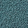 MIYUKI Delica Beads X-SEED-J020-DB2131-3