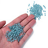 6/0 Imitation Jade Glass Seed Beads SEED-N004-006-20-4