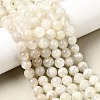 Natural White Moonstone Beads Strands G-F674-08-8mm-01-2