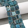 Natural Apatite Beads Strands G-G053-B18-04-2