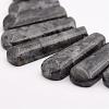 Natural Larvikite Beads Strands G-P298-J01-2