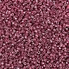 MIYUKI Delica Beads X-SEED-J020-DB0428-3