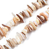 Natural Freshwater Shell Beads Strands SHEL-S278-071D-1