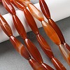 Natural Agate(Dyed & Heated) Beads Strands G-M446-A01-01B-1