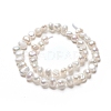Natural Cultured Freshwater Pearl Beads Strands PEAR-I004-08C-4