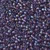 TOHO Round Seed Beads SEED-XTR08-0166DF-2