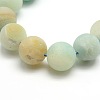 Frosted Natural Flower Amazonite Round Bead Strands G-M064-10mm-07-2