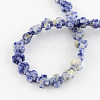 Natural Blue Spot Jasper Beads Strands G-R182-10-2