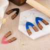 Biyun DIY V-shape Dangle Earrings Making Kit DIY-BY0001-42-8