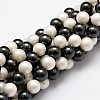 Polished Shell Pearl Bead Strands X-BSHE-F013-07C-1