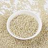 MIYUKI Round Rocailles Beads SEED-JP0009-RR0577-2