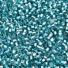 Glass Seed Beads SEED-S042-04B-23-3