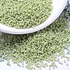 MIYUKI Delica Beads SEED-J020-DB2123-1
