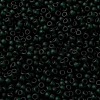 MIYUKI Round Rocailles Beads X-SEED-G008-RR0156F-3