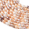 Natural Cultured Freshwater Pearl Beads Strands PA-CBABE82-01A-3