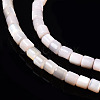 Natural Trochid Shell/Trochus Shell Bead Strands SSHEL-N034-77-C05-3