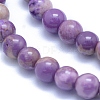 Natural Lepidolite/Purple Mica Stone Beads Strands G-L552H-09A-2