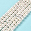 Natural Cultured Freshwater Pearl Beads Strands PEAR-E016-181A-2