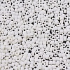 MIYUKI Delica Beads Small SEED-X0054-DBS0352-3