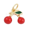 Brass Enamel Charms KK-Q028-34G-1