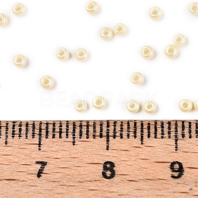 11/0 FGB Grade A Baking Paint Glass Seed Beads X-SEED-N001-A-1034-1
