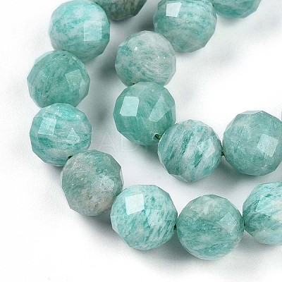 Natural Amazonite Beads Strands G-S345-10mm-25-1