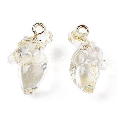 Transparent Resin Pendants RESI-E028-01G-09-1